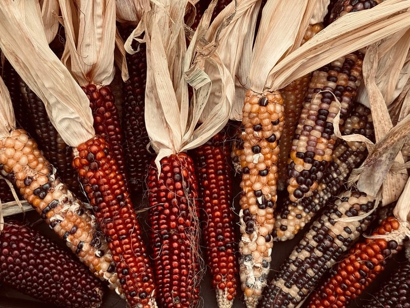 Ethically Sourced Vegetables