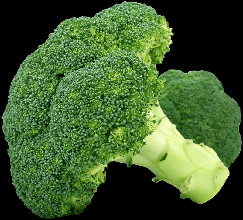 Organic Farming